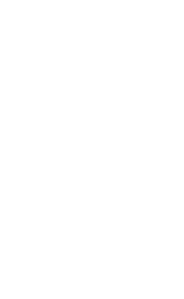 Silueta de la isla de La Palma
